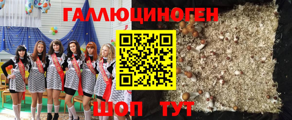 Снежинск  Галлюциногенные грибы мухоморы  Галлюциногенные грибы Psilocybine cubensis  Вход с VPN 