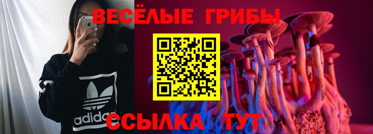 Галлюциногенные грибы GOLDEN TEACHER Снежинск